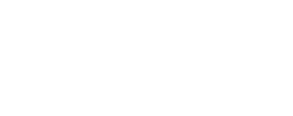 Digital Lead Performance